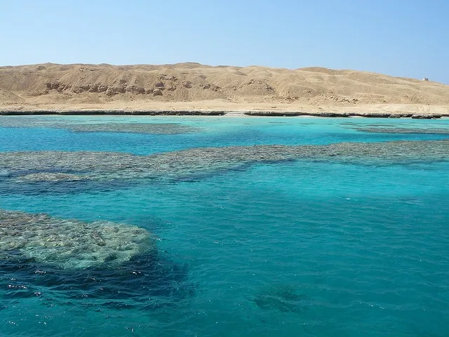 Tour de Esnórquel em la Ilha de Guiftun